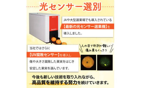 みかん こだわりの有田みかん 約2kg【訳あり】【nuk159-12A】