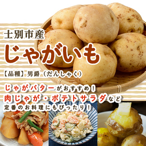 野菜詰め合わせ 10kg じゃがいも たまねぎ かぼちゃ 2025年10月中旬以降順次発送 【士別農園】B7055