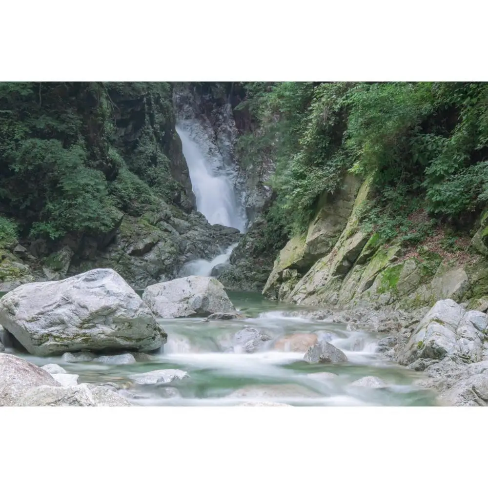 【令和7年産】山梨県北杜市産白州米コシヒカリ（白米）10kg 