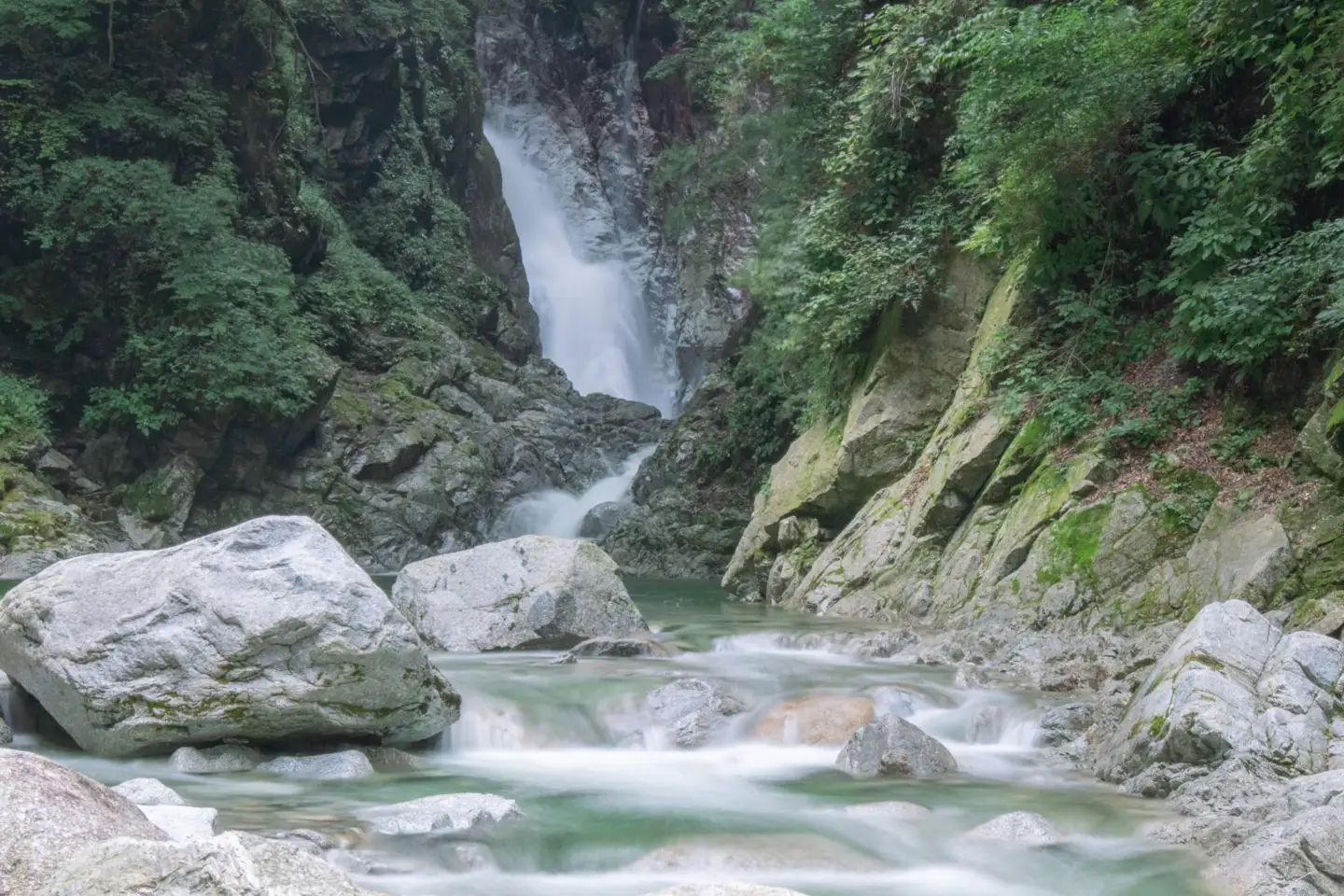 【令和7年産】「幻の米」山梨県北杜市産白州よんぱち米（白米）10kg
