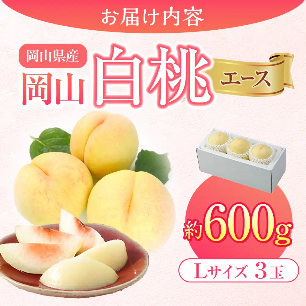 2026年 先行予約 岡山県産  白 桃   エース 3玉×約200g 計600g Lサイズ ｜ 桃