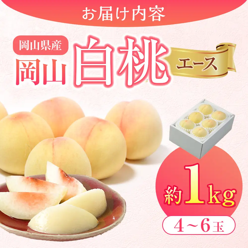 2026年 先行予約 岡山県産  白 桃   エース 約1kg（4～6玉）｜ 桃
