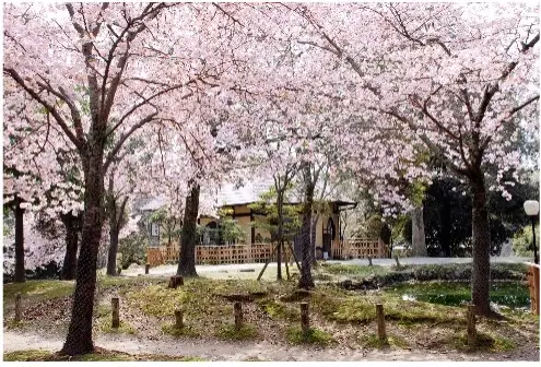 宿泊券 江戸三 1泊2食付宿泊券（2名様1室） チケット 奈良公園 C-37