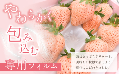 白いちご「淡雪」(大玉限定400g)《化粧箱付》｜西谷農園