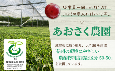 【先行受付2026年発送】皮ごと食べられるクイーンセブン2～3房（約1kg）｜あおさく農園　※2026年9月上旬以降発送予定｜農薬削減