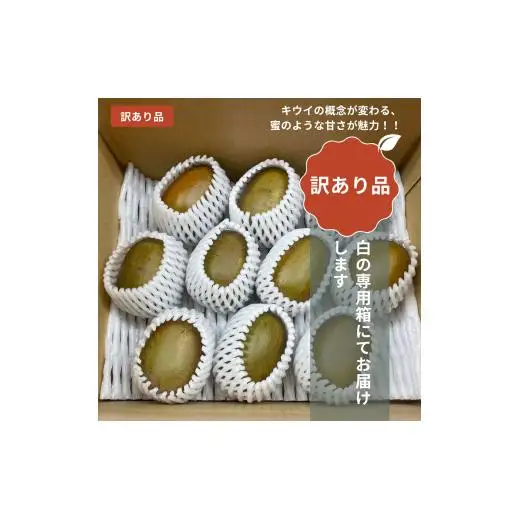 ＜10月下旬以降発送＞【ぽぽ農園】【訳あり・ご自宅用】レインボーレッドキウイ（四国中央市産レインボーレッド） Lサイズ 約1kg（9個～11個）