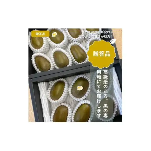 ＜10月下旬以降発送＞【ぽぽ農園】【お歳暮・贈答用・黒箱】レインボーレッドキウイ（四国中央市産レインボーレッド）3L～4Lサイズ 約800g（約5～6個）