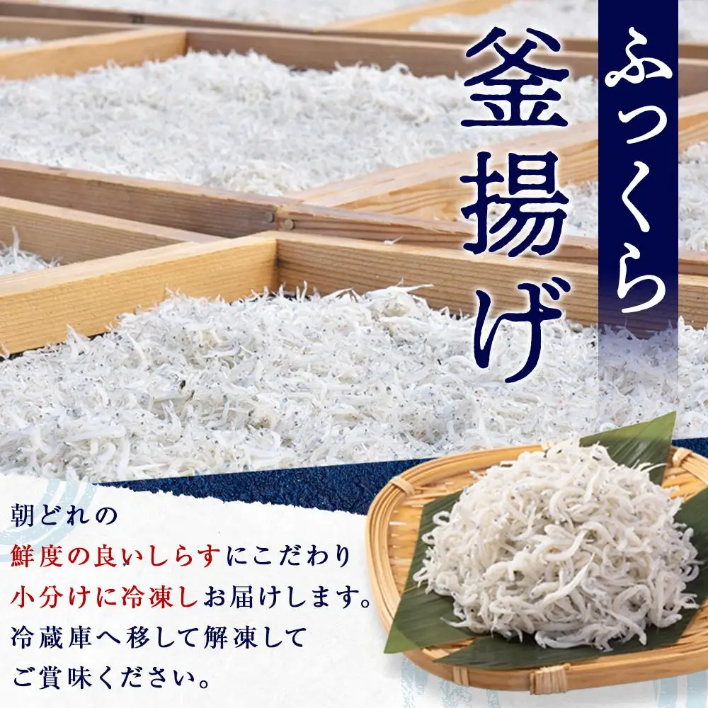 産地直送 ご家庭用 冷凍 しらす 1000g （250g × 4 ）（ 冷凍 ）