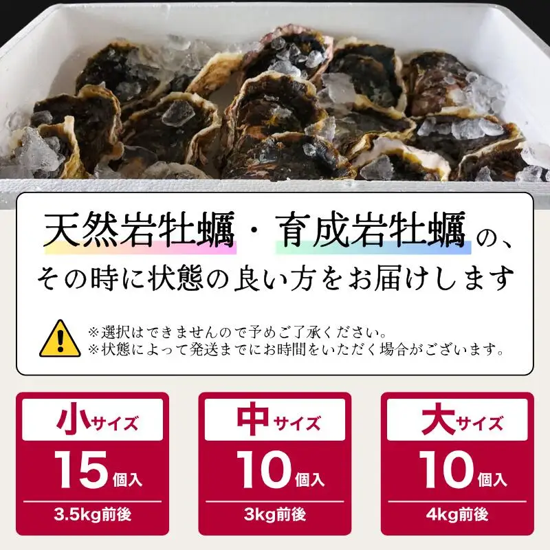 訳あり 岩がき 大サイズ 4kg前後 生食用 ： 牡蠣 殻付き