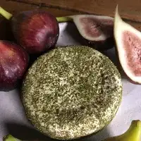 Robiola  Fico　1個（300g）チーズ/ 山羊 ヤギ  和歌山県 田辺市【dal004】