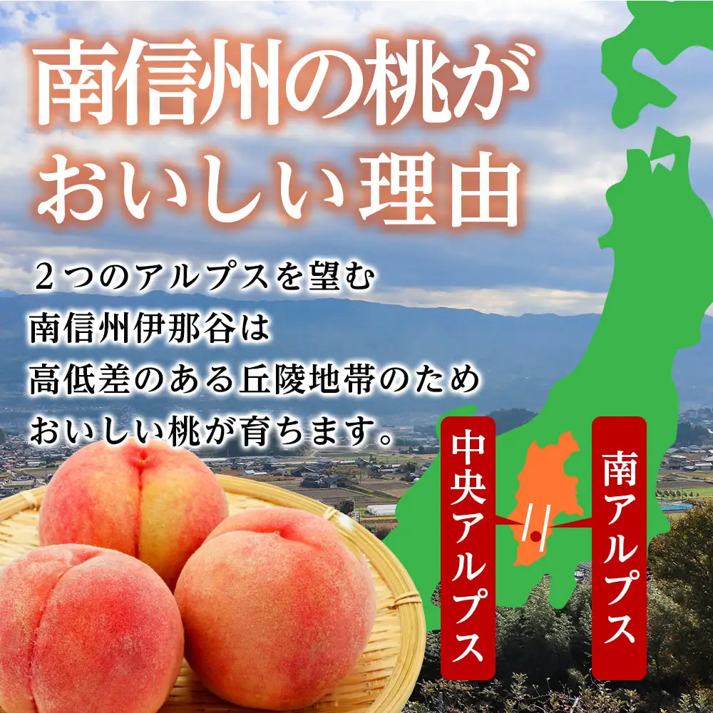 【南信州産】あかつき約5kg（秀品）光センサー選別品＜2027年7月中旬より発送＞