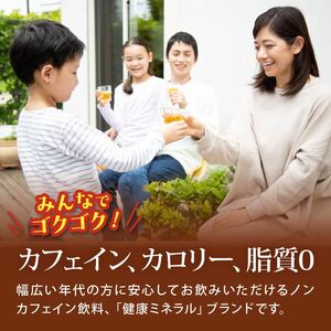 健康ミネラル麦茶650ml 48本 24本 × 2ケース 麦茶 