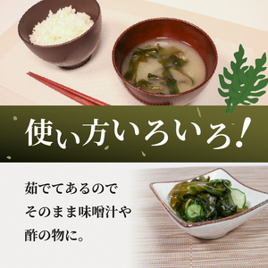 早採りわかめ 100g × 11パック 計1.1kg わかめ 海藻 海鮮 魚貝類 魚介類 小分け 個包装 みそ汁 スープ 酢の物 三陸産 岩手県 大船渡市
