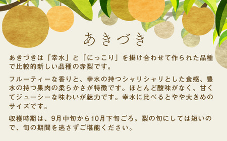 梨 あきづき 約3kg 梨
