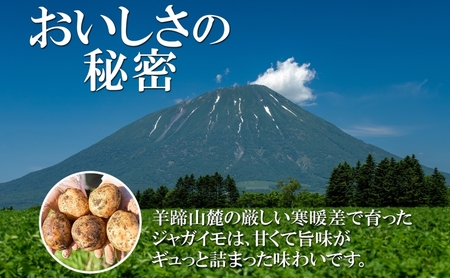 じゃがいも 男爵 きたかむい 北海道産 じゃがいも【各約5kg 計10kg Lサイズ】