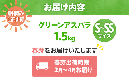 数量限定 アスパラ S～SS サイズ 1.5kg 朝採り 直送 春芽 グリーンアスパラガス 朝採れ 先行予約 【2026年2月から4月お届け】BT13