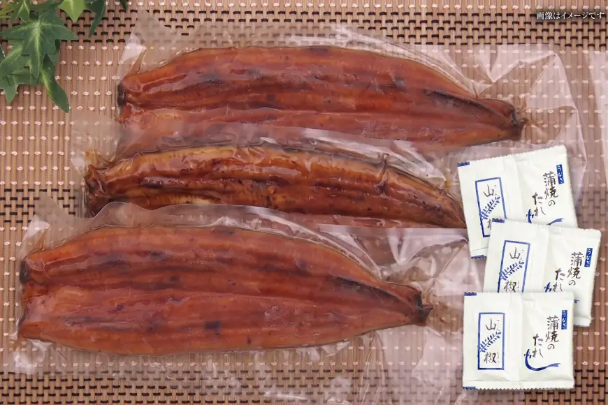 うなぎ うなぎ蒲焼 200g×3尾 タレ 山椒 セット