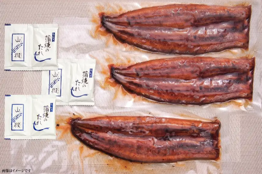 うなぎ うなぎ蒲焼 150g×3尾 タレ 山椒 セット