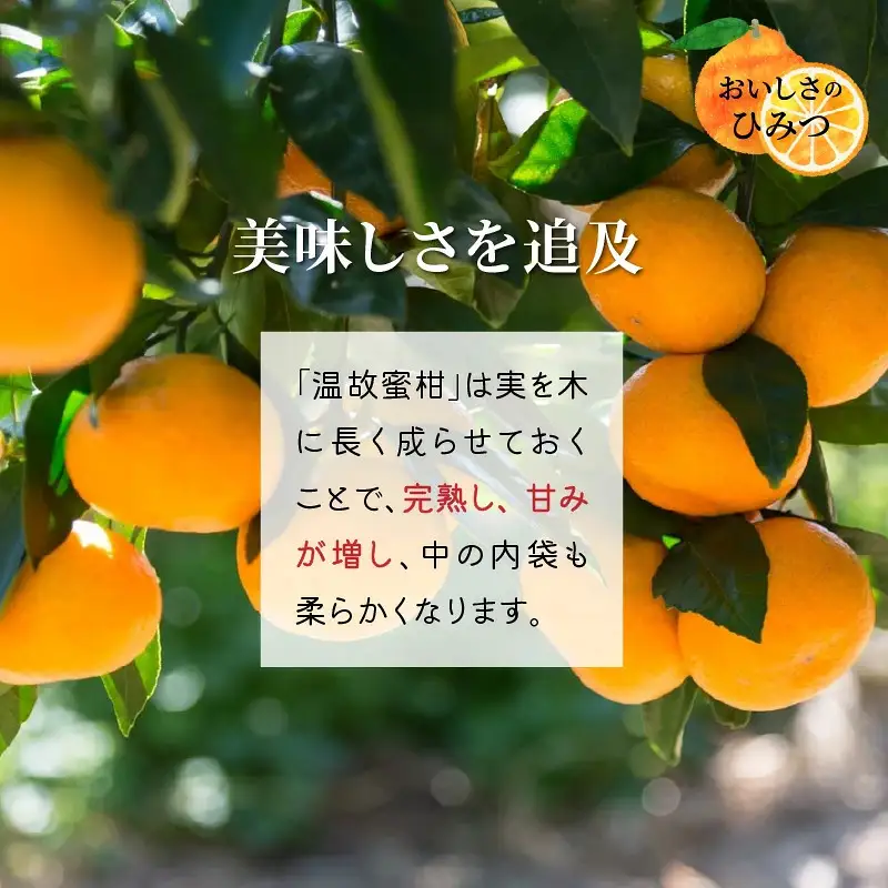 岸田果樹園プレミアム「温故蜜柑」約5kg_1275R