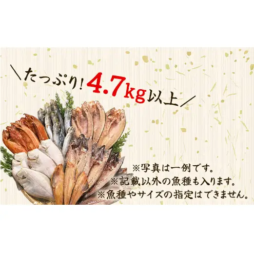 【2027年2月下旬発送】訳あり 干物・切身 セット 4.7kg 規格外 傷 不揃い