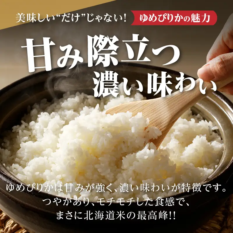 特A 北海道滝川産 ゆめぴりか 無洗米 10kg 9ヵ月定期便【R8年産】お米マイスター 新米 単一米 産地限定米 ブランド米 北海道米 北海道産 白米 精米 米 こめ お米 ご飯 おにぎり 道産 送料無料 むせんまい 限定