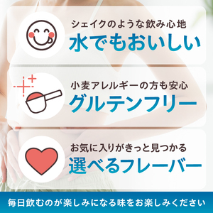 DAILY BASIC WPC ホエイプロテイン フルーツミックス 【0105-002-1】岐阜県 可児市 ホエイ プロテイン 健康食品 美容食品 タンパク質 低糖質 低脂質 グルテンフリー