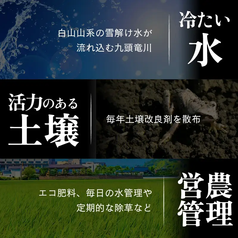 【先行予約】【令和8年産 新米】《定期便3回》【一等米】エコ栽培コシヒカリ 白米10kg（5kg×2袋）計30kg ／ 鮮度抜群 福井県産 こしひかり ご飯 新鮮 白米 ※2026年10月上旬以降順次発送 [aw063-e010]