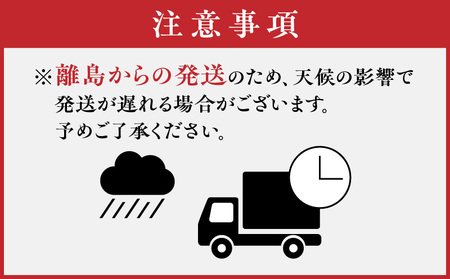 "Restaurant FISH"特製 車エビのパエリア（4人分）　A156-001
