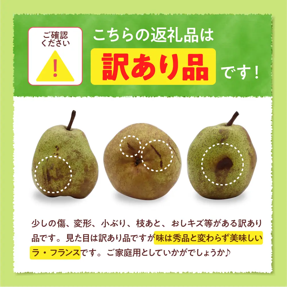 2026年産 ラフランス 訳あり 2kg ラフランス 洋なし 家庭用 