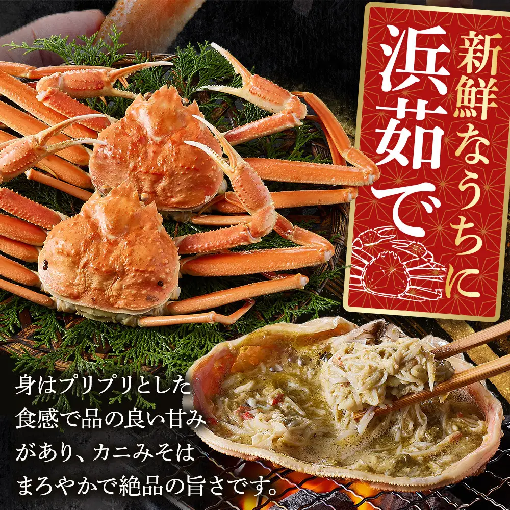 ＜金～日着※指定日不可＞＜11月中旬～3月上旬発送予定＞浜茹松葉ガニ足欠(2枚/計約800g以上)