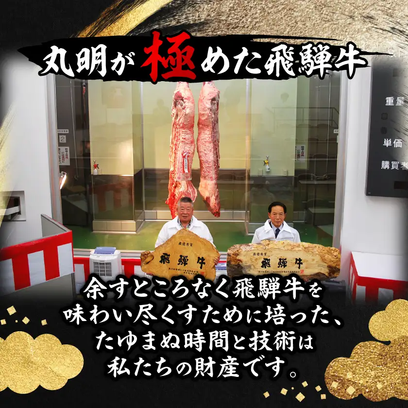 【訳あり】飛騨牛　切り落とし(コマ切れ)700g【配送不可地域：離島】【1043507】