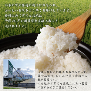 令和7年産 三重県産もち米5kg 皇室献上米農家[ 令和7年産米 お米 もち米 5kg 正月 おはぎ 餅 おこわ 三重県産 皇室献上米農家]