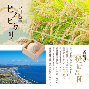 令和8年産　新米「ヒノヒカリ」30kg（玄米） お米 30kg 