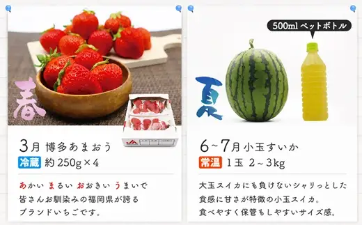 【年4回春夏秋冬】福岡旬のフルーツ定期便（3・6～7・10～11・11～12月）【随時開始】[H5360]