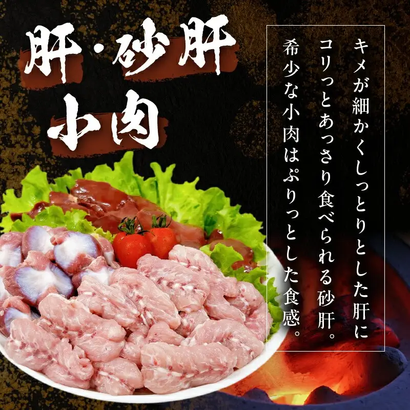日南どり 焼肉 食べ比べ セット 合計3kg 鶏肉 国産 チキン 鶏もも肉 切身 肝 砂肝 小肉 人気 小分け 便利 おかず お弁当 おつまみ 食品 真空パック バーベキュー BBQ 唐揚げ お取り寄せ おすすめ ご褒美 記念日 お祝い おすそ分け 日南市 宮崎県 送料無料_CB86-24