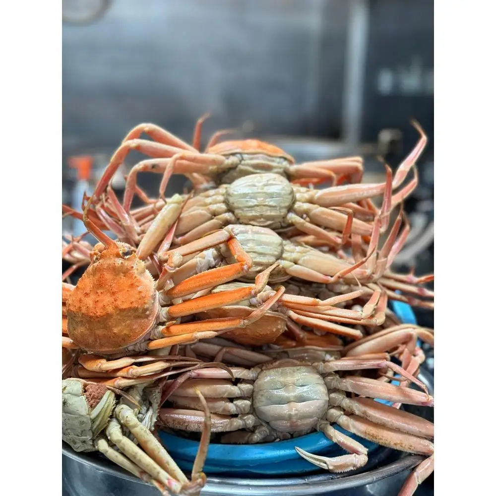 海から直接、あなたの食卓へ。 新鮮さが自慢の香箱ガニ（180〜200g×3杯）（特大）ボイル