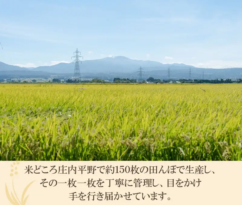 【令和7年産】 井上農場の特別栽培米 つや姫 無洗米 6kg（2㎏×3袋）　K-756　山形県鶴岡市