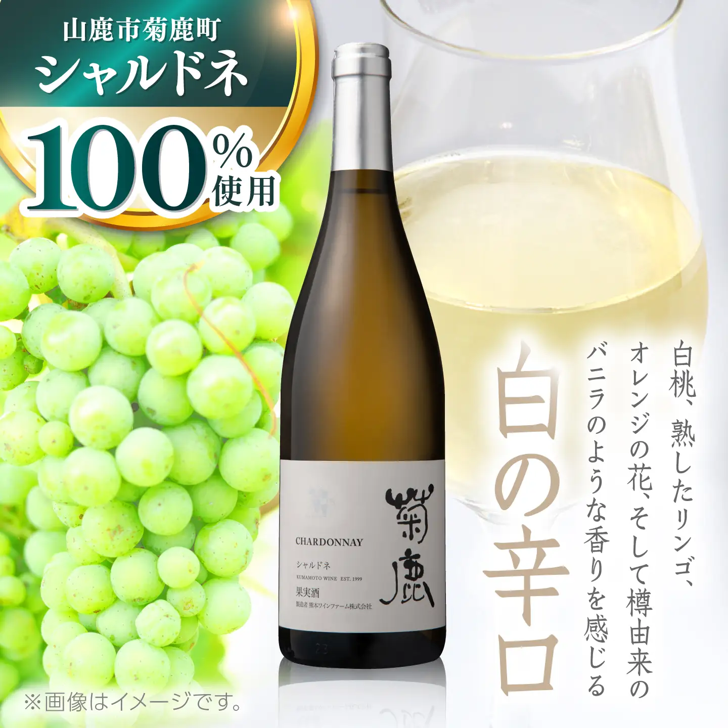 菊鹿シャルドネ白ワイン辛口750mlギフト箱入り白ワインZCO001 | 熊本県
