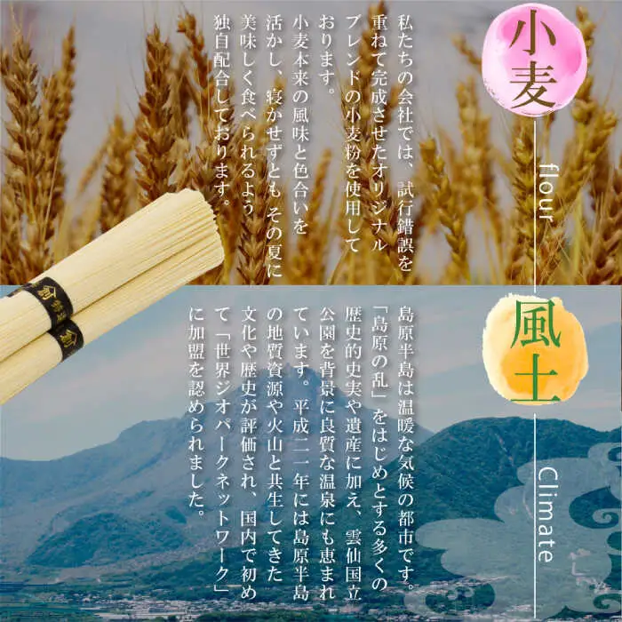 島原 手延そうめん 8kg ふるさと企画 [SBA070] そうめん
