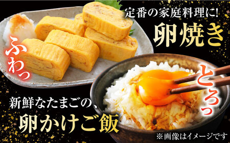 【10回定期便】【ギフトBOX】平飼たまご ファイブエッグ M-Lサイズ 20個入 / 5EGG 卵 赤玉子 五島市 / 五島列島大石養鶏場[PFQ028]  玉子 タマゴ 鶏卵 希少 五島列島