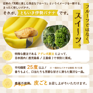平均糖度25度以上 国産 無農薬 皮ごと食べられる「ともいき伊勢バナナ」 約1.5kg 9本～ バナナ ばなな 伊勢ばなな 伊勢バナナ ときいも伊勢バナナ 高糖度 栄養豊富 皮ごと 果物 くだもの 多気町 三重 無農薬 国産 三重県 多気町 TF-01