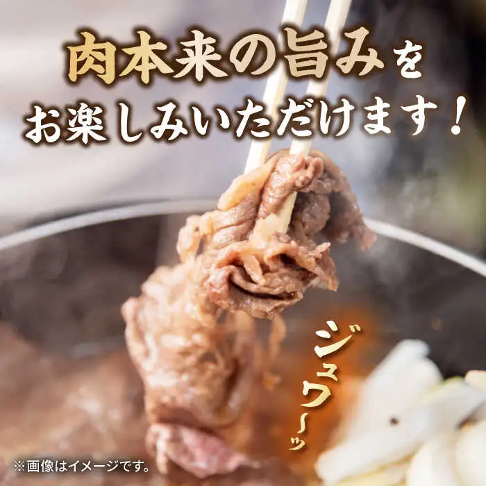 【全6回定期便】長崎和牛 切り落とし 600g（300g×2パック）《壱岐市》【長崎フードサービス】 肉 牛肉 赤身 小分け 国産 切落し 切り落し 冷凍配送 [JEP025]