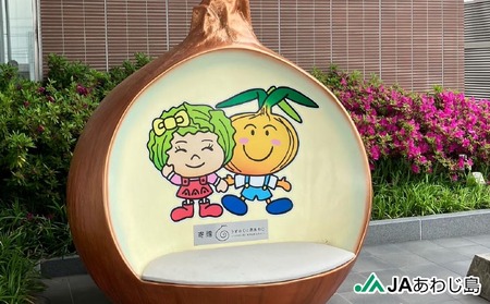 ＪＡあわじ島のほんまもんたまねぎ【3㎏】中晩生種