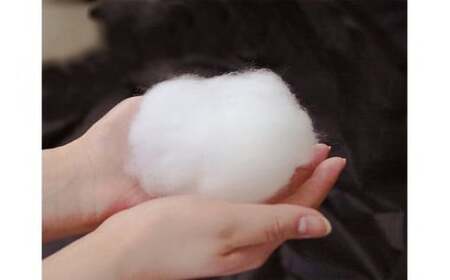 ふわふわもちもち とろけるような心地よさ オールシーズン マシュマロフトン マスカットグリーン 1枚 シングル 150×200cm [0015]