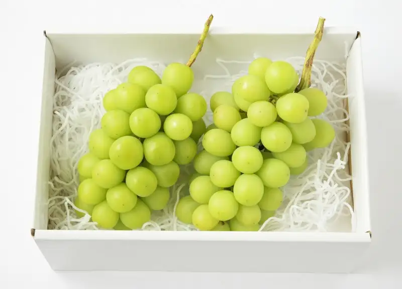 【2026年配送分】甲府市産自然塾のシャインマスカット1.2kg(2房～3房)