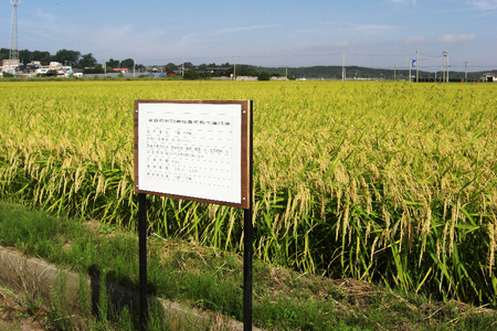 あさゆき米「つがる雪舞」 2kg 特別栽培米 令和8年産 [0885]