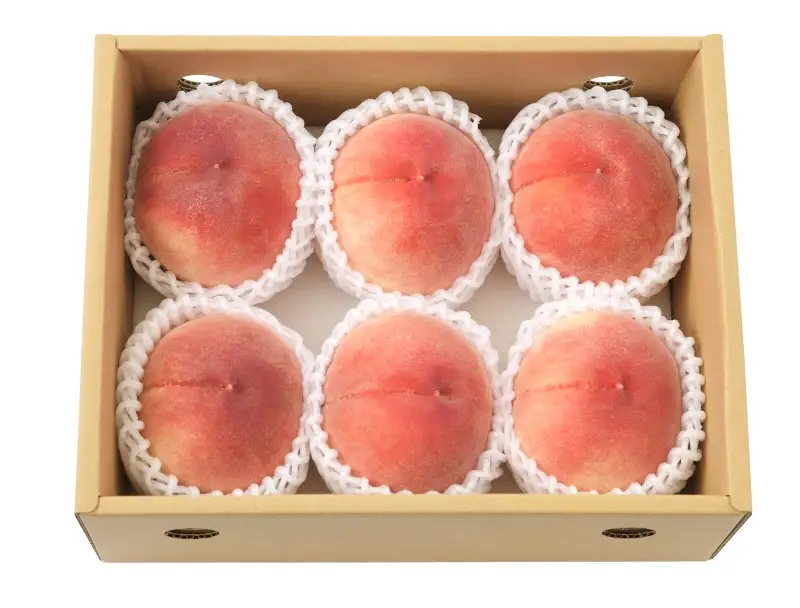 【2026年配送分】甲府市産自然塾の桃2kg