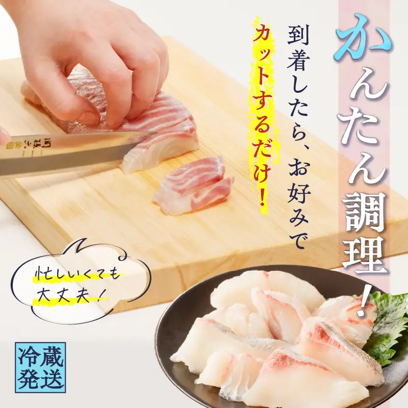鹿児島産 スライスするだけ！真鯛（マダイ）刺身用 片身分 500g K100-008 魚