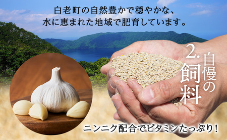 北海道産 白老豚 バラ スライス 300g×2パック 豚 豚肉 白老 北海道 焼肉