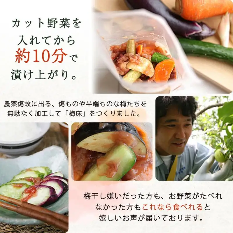 そのまんま梅の床・てんさい糖 250g×2 trgk001A【trgk001A】